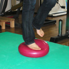 バランスボード